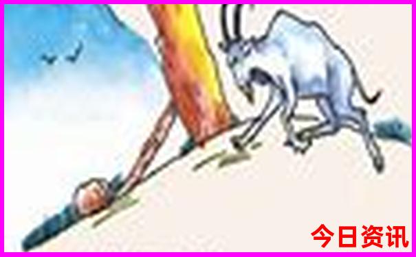 惠州攻略自助游攻略